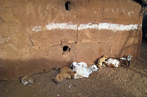 Kenia (82)